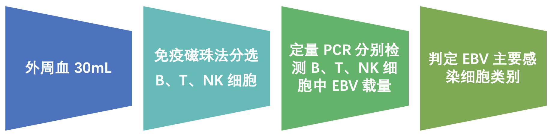 EBV_sorting_PCR - 铂华医学